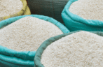 Basmati Rice Export Surge