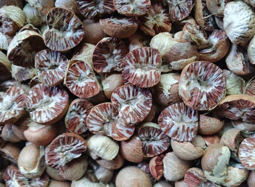 Betel Nut Split