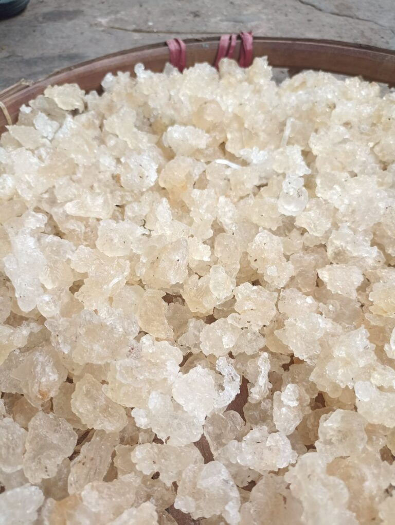 Gum Karaya Grade B A3