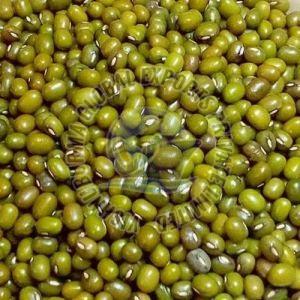 green-moong-dal-1768971497-8545885