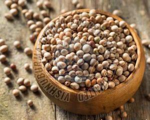 pigeon-peas